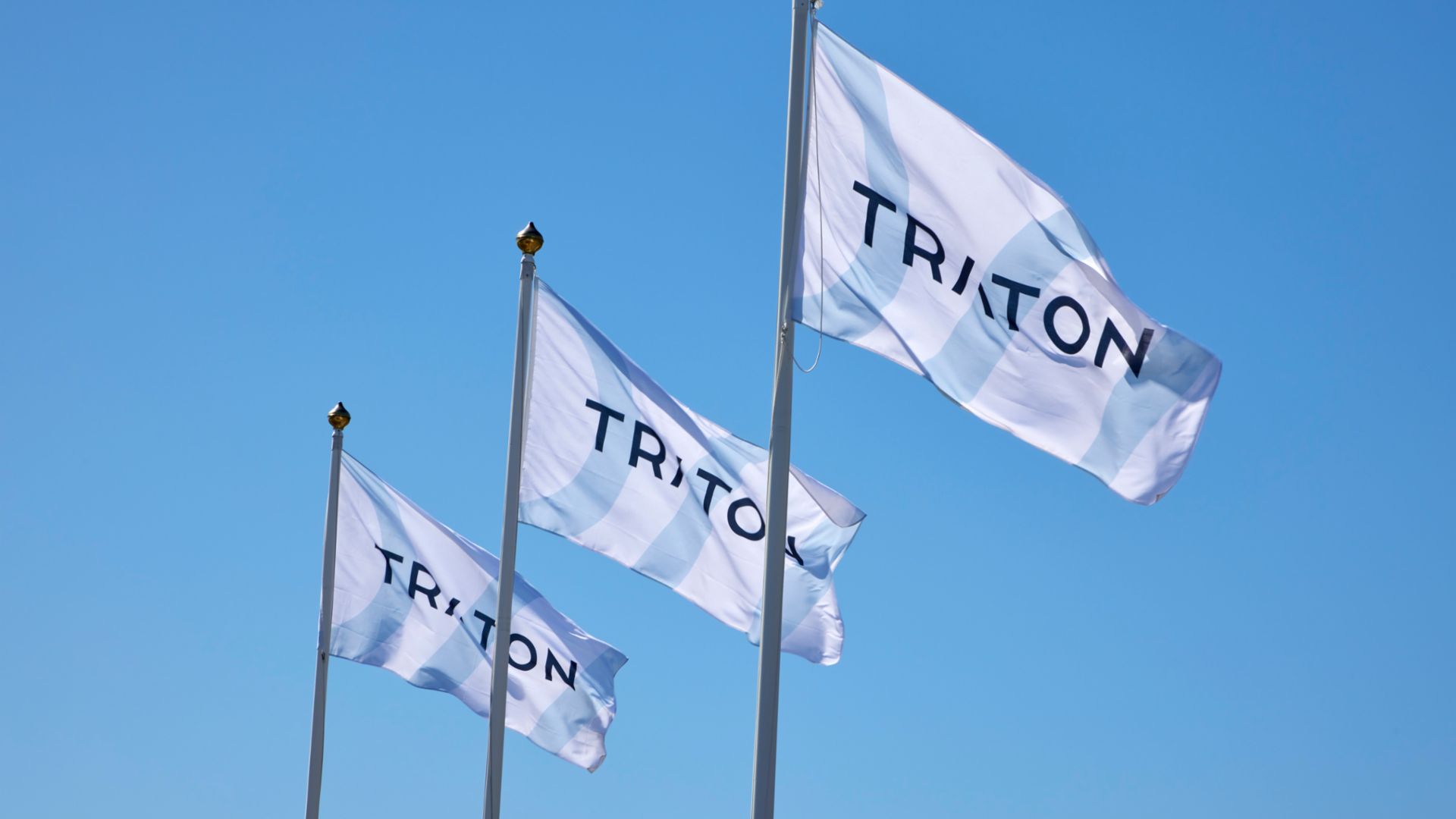 TRATON GROUP Flags