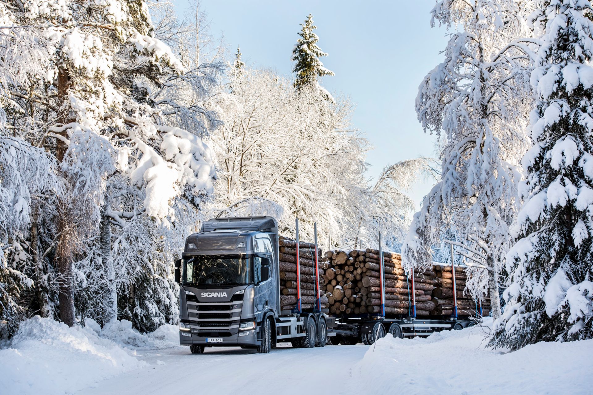 Scania R 500 6x2 Highline, Holztransport mit Deichselanhänger in Trysil, Norwegen
                 