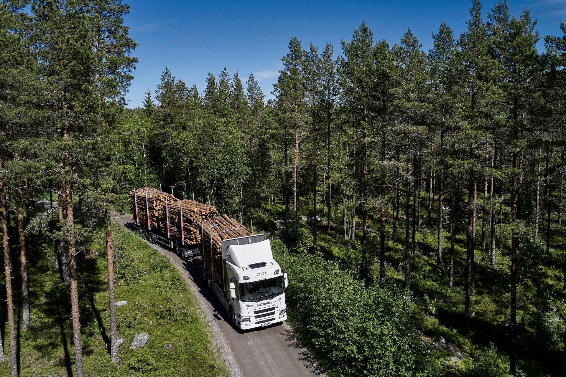 Truck transports wood in forest landscape